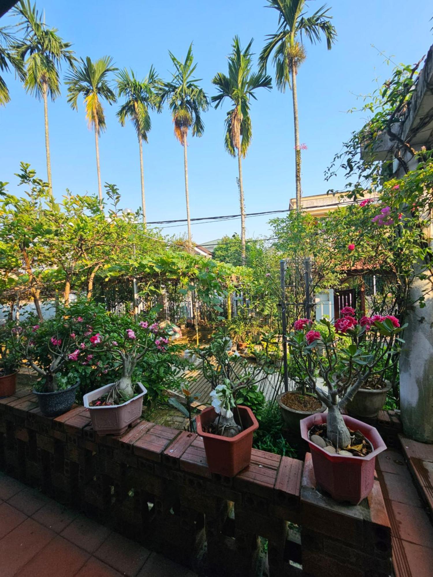 Thon Kim Long Rose Homestay Hue מראה חיצוני תמונה