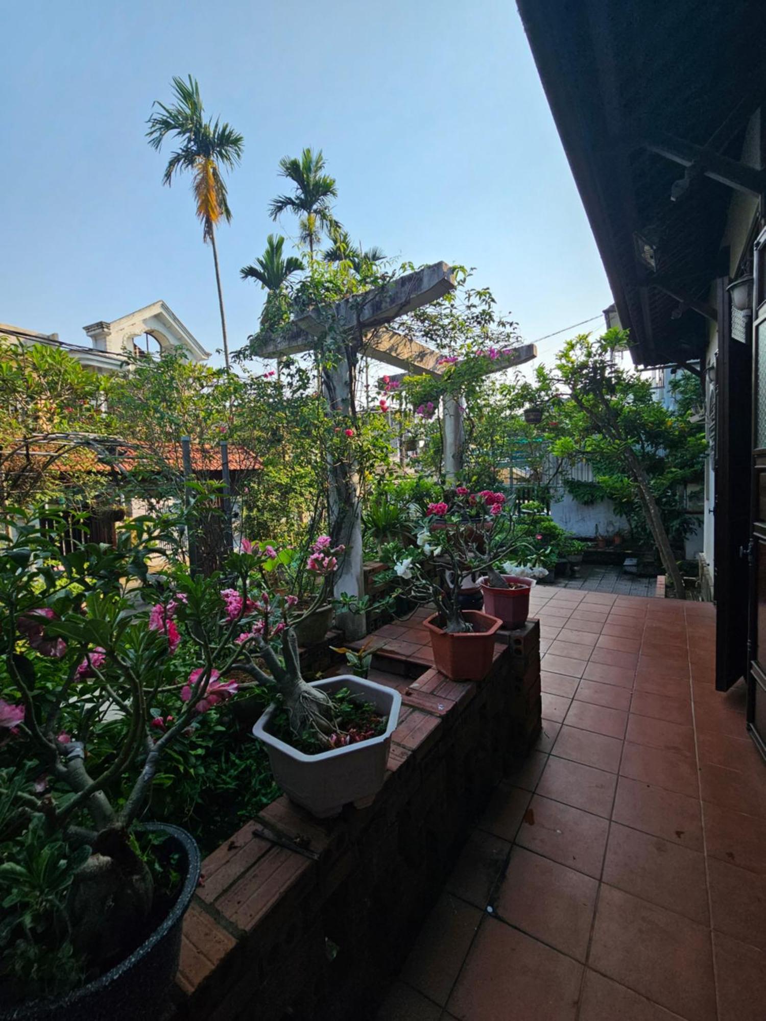 Thon Kim Long Rose Homestay Hue מראה חיצוני תמונה