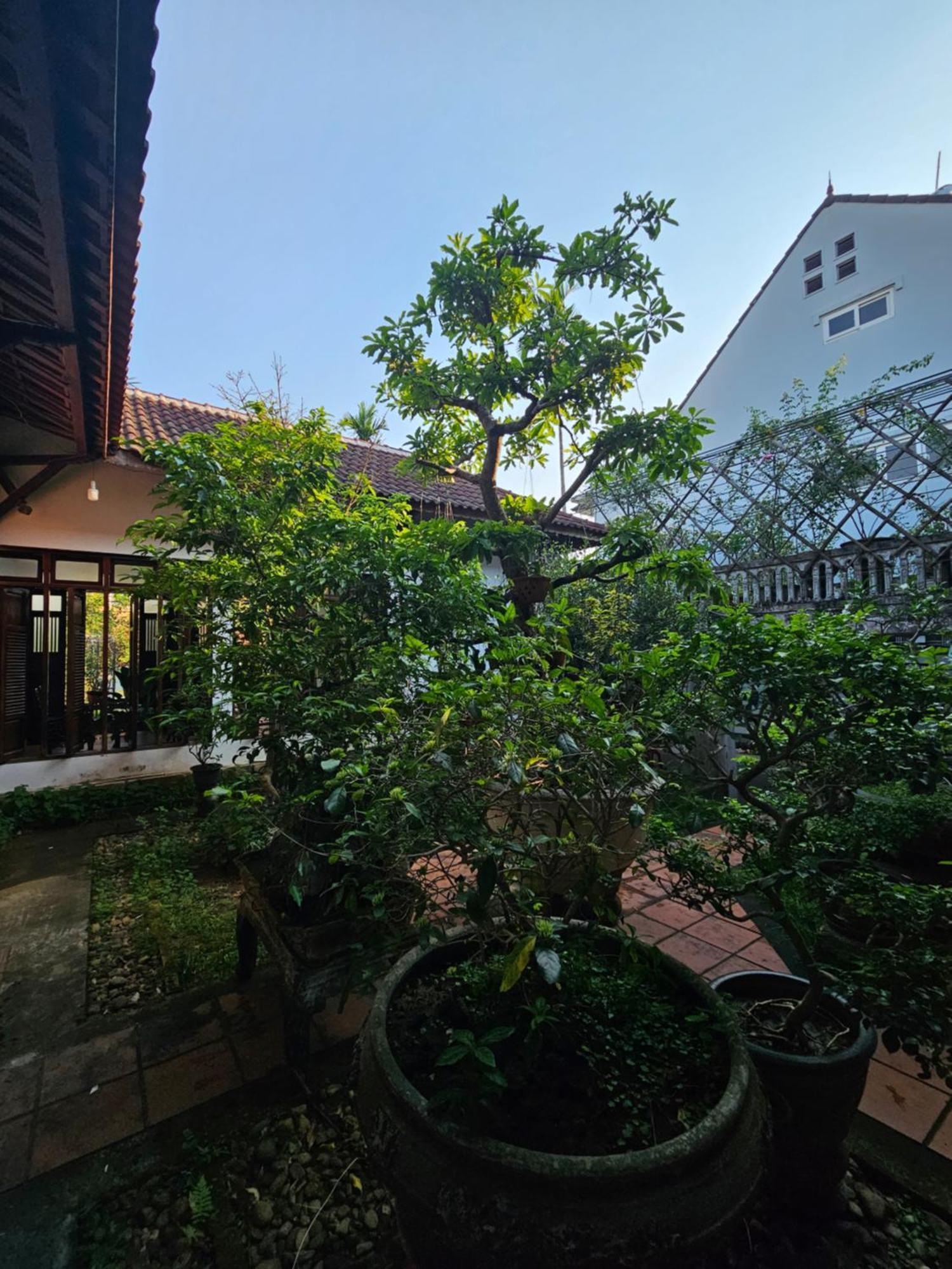 Thon Kim Long Rose Homestay Hue מראה חיצוני תמונה