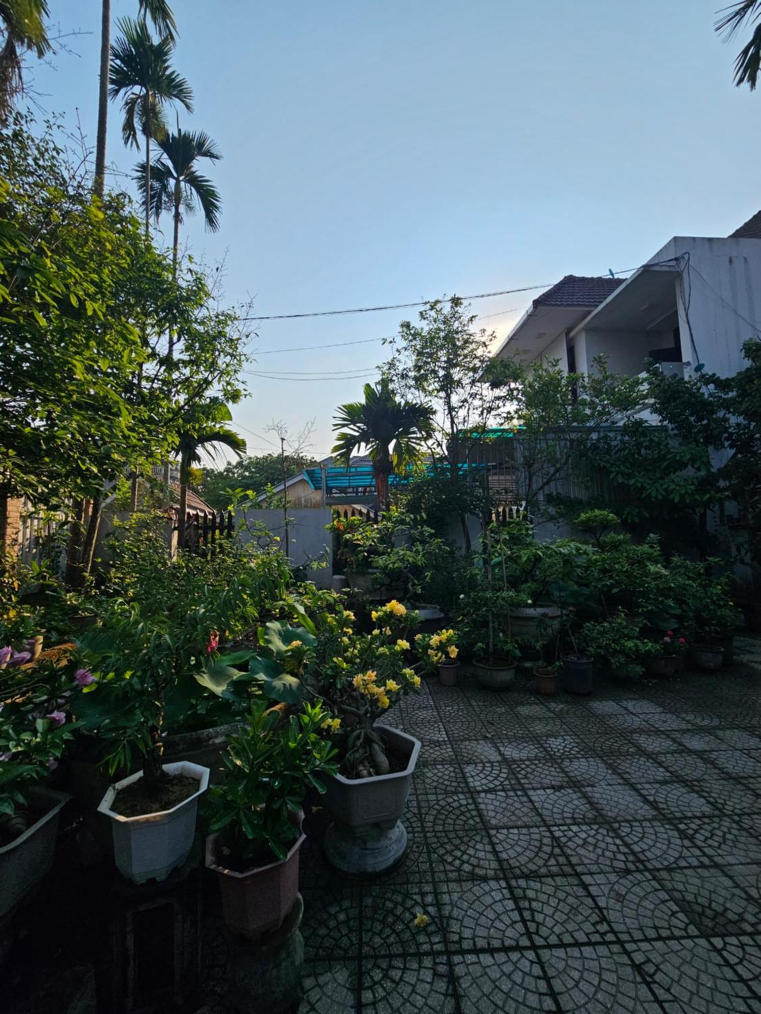 Thon Kim Long Rose Homestay Hue מראה חיצוני תמונה